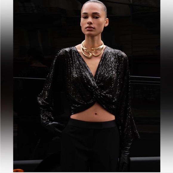 ZARA SEQUIN CROP TOP NWT - Picture 1 of 5